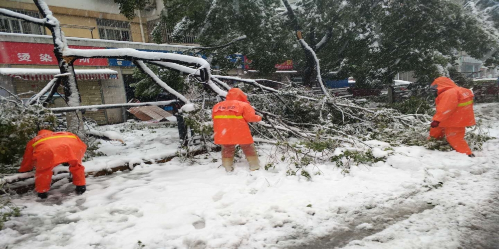 新站區(qū)道路清掃保潔、綠化管養(yǎng)項目