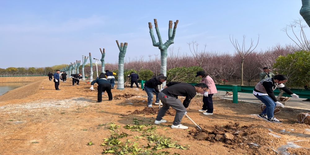 黨建引領(lǐng)共植綠 凝心聚力譜新篇 ——和合生態(tài)、德嘉置業(yè)黨支部赴小廟基地義務(wù)植樹